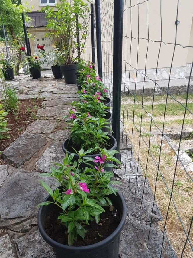 Апартаменты Apartment Stone House Цетине