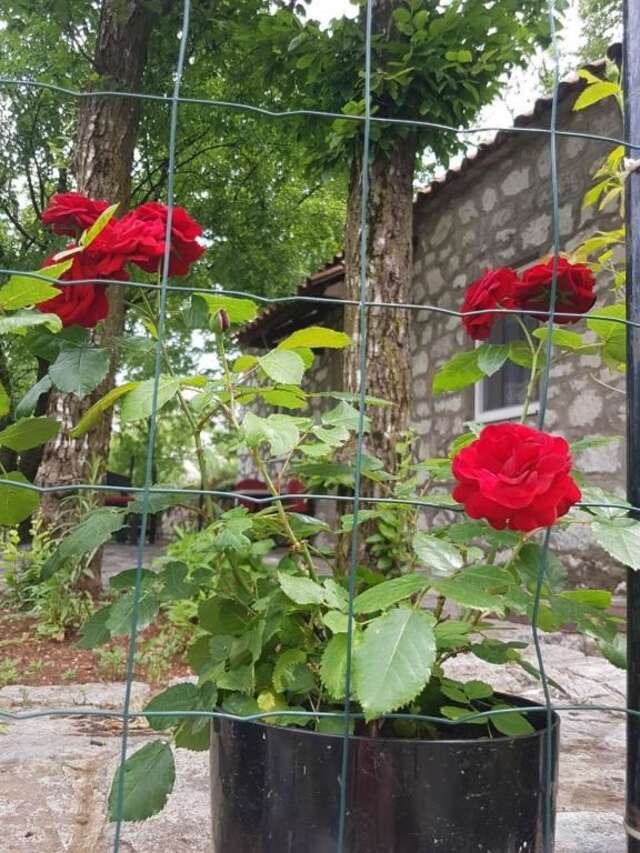 Апартаменты Apartment Stone House Цетине-41